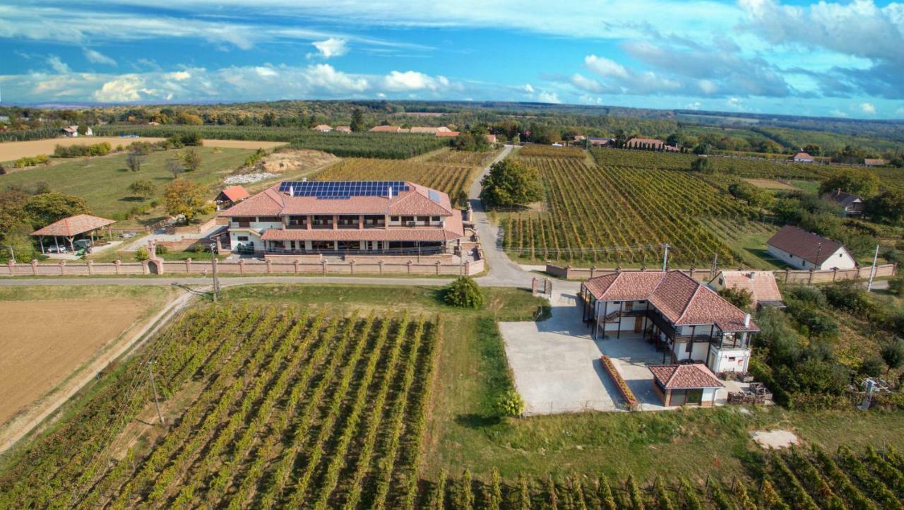 Bed and Breakfast Ebner Pince - Panzió Turbékpuszta Exterior foto